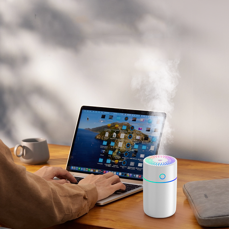 Powerful Portable Ultrasonic Cool Mist Humidifier Wt29