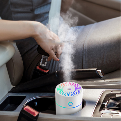 Powerful Portable Ultrasonic Cool Mist Humidifier Wt29