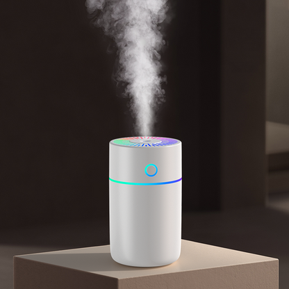 Powerful Portable Ultrasonic Cool Mist Humidifier Wt29